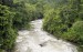 řeka v džungli_filtered.jpg